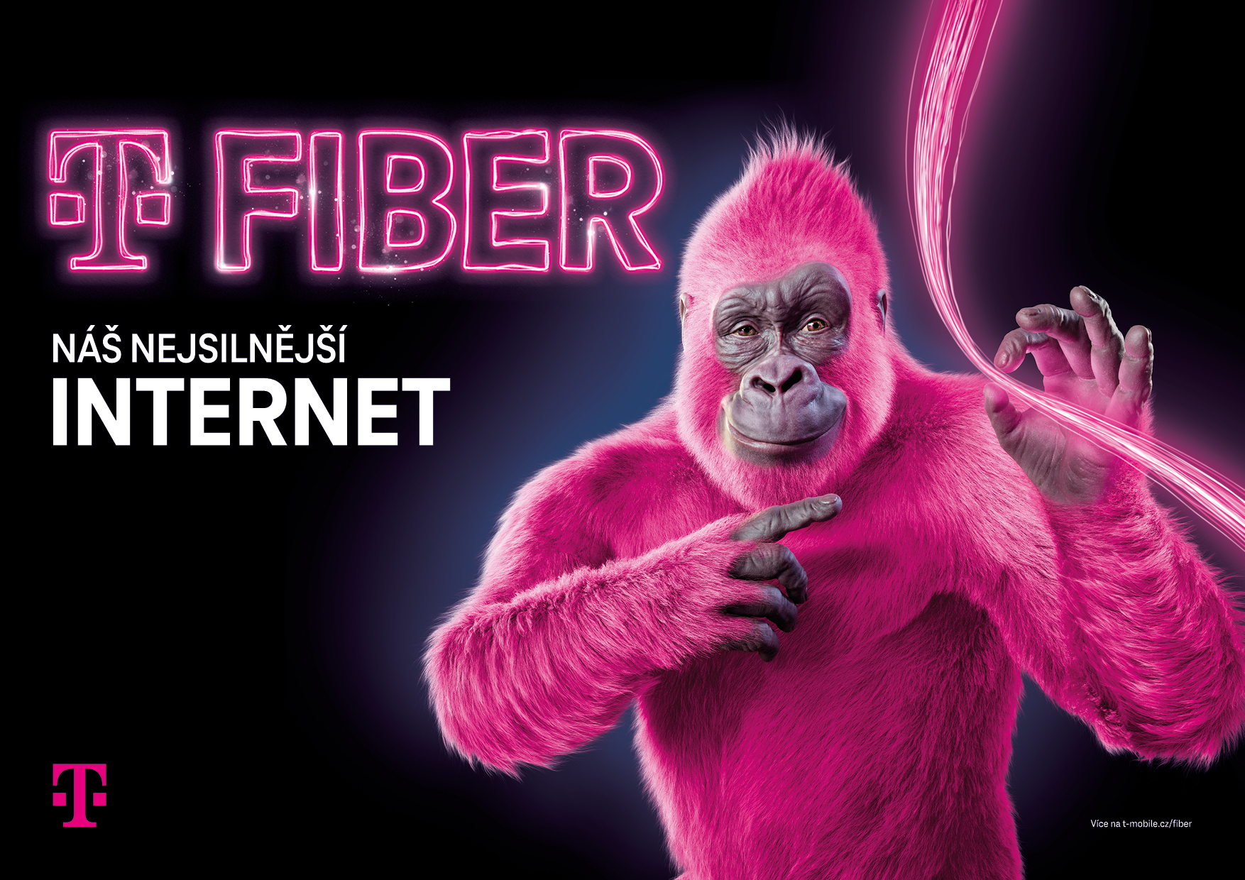 T-Fiber